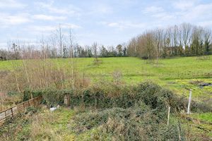 Garden and view- click for photo gallery